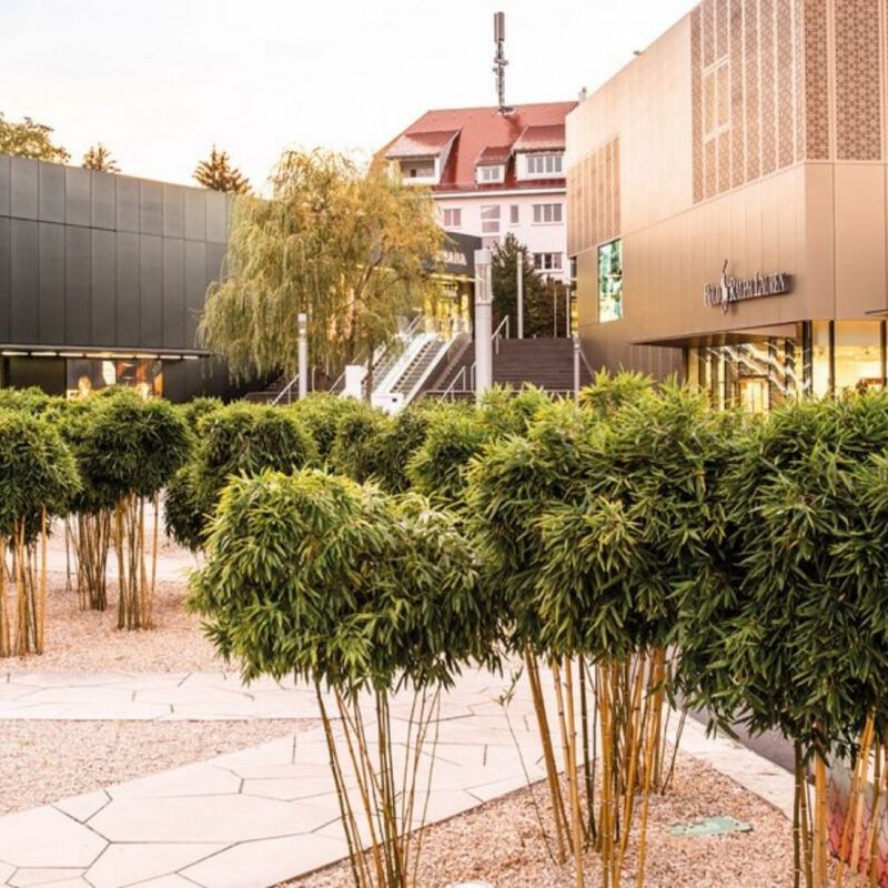 Aktivtäten rund um das Burghotel Staufeneck.