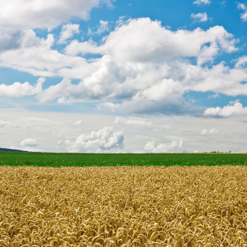 Wandern rund um das Burghotel Staufeneck.