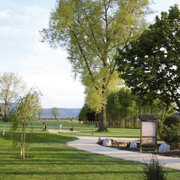 Die Auswahl an Golfplätzen rund um das Burghotel Staufeneck ist groß.